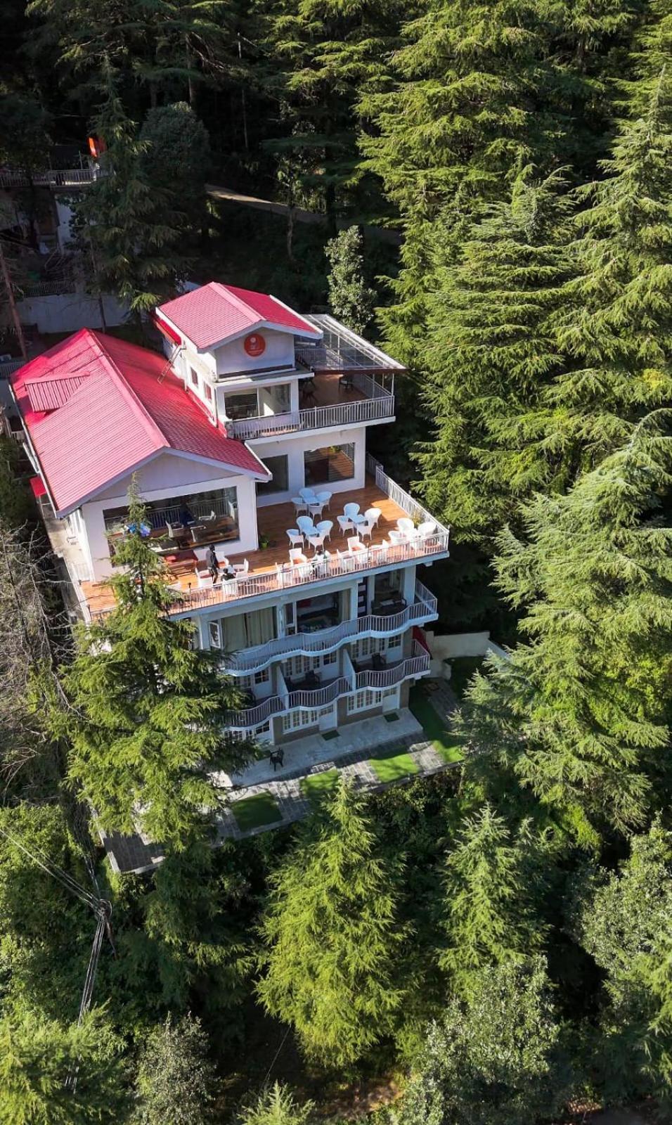 맥그로드 간즈 The Bunksters Mcleodganj, Dharmkot 호스텔 외부 사진
